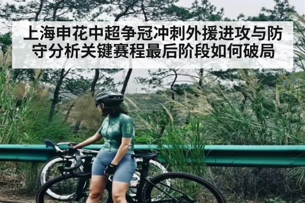 上海申花中超争冠冲刺外援进攻与防守分析关键赛程最后阶段如何破局